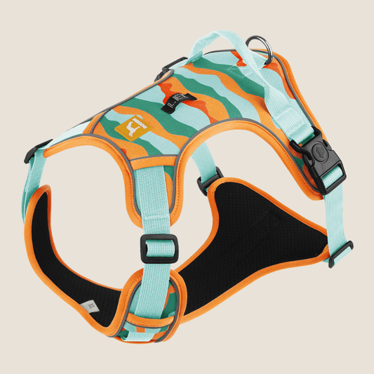 Camouflage No Pull Dog Harness with Handle(Blue)