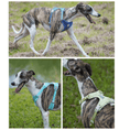 Load image into Gallery viewer, Macaron Adjustable Reflective Dog Harness
