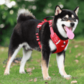 Load image into Gallery viewer, Padded Vest No Pull Dog Harness with Handle
