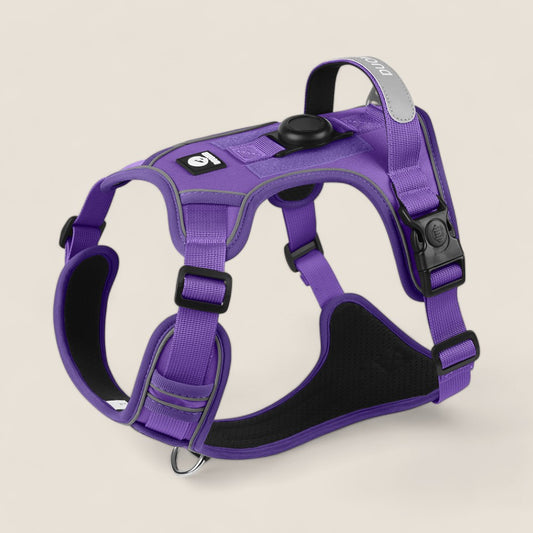 AirTag Protective Dog Harness