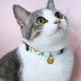 Load image into Gallery viewer, Orange Collar
