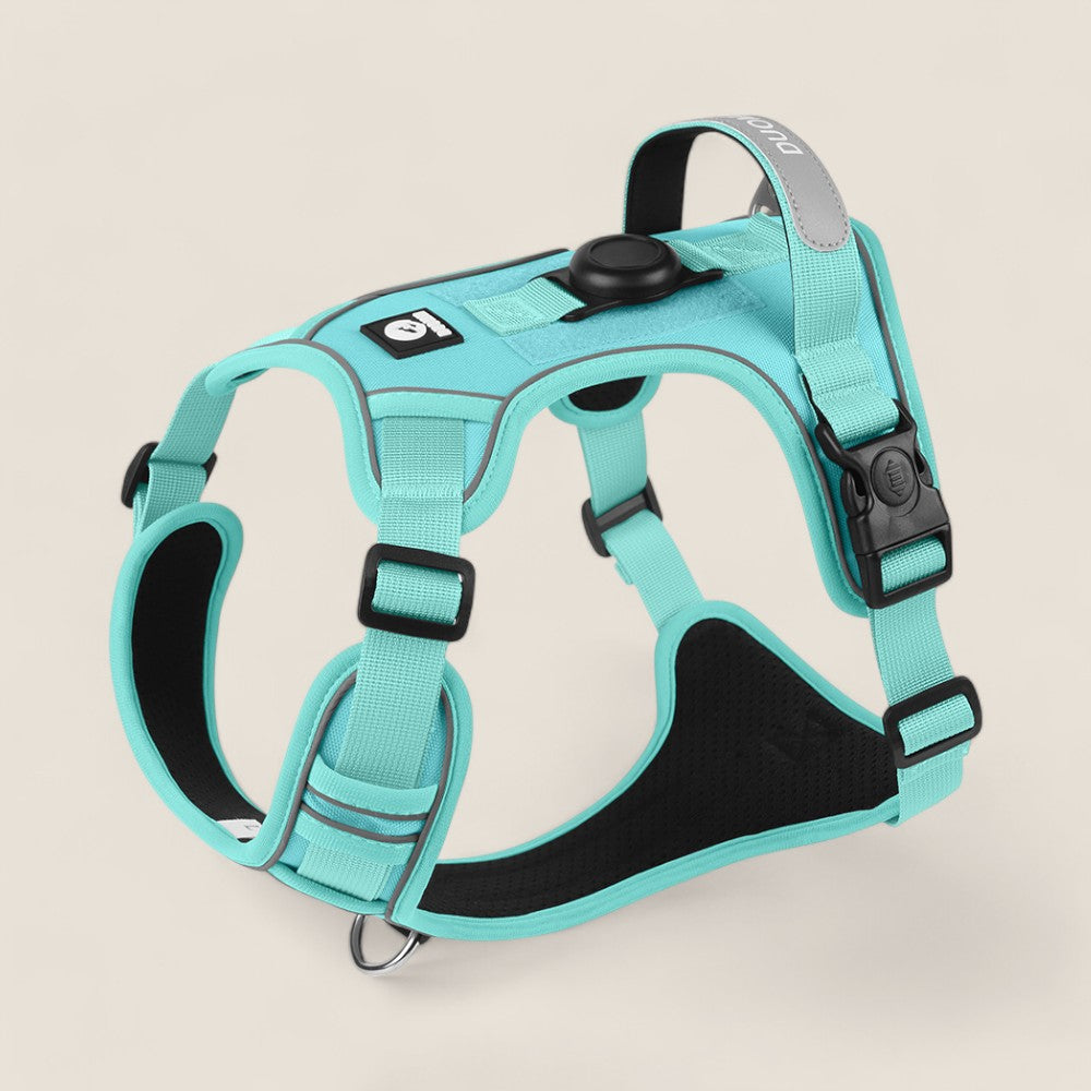 AirTag Protective Dog Harness