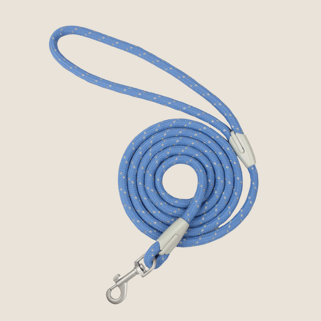 Macaron Reflective Dog Leash(Blue) | Fluffy Fusion