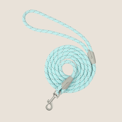 Macaron Reflective Dog Leash(Green Blue) | Fluffy Fusion