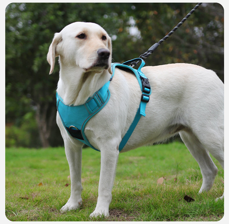 AirTag Protective Dog Harness