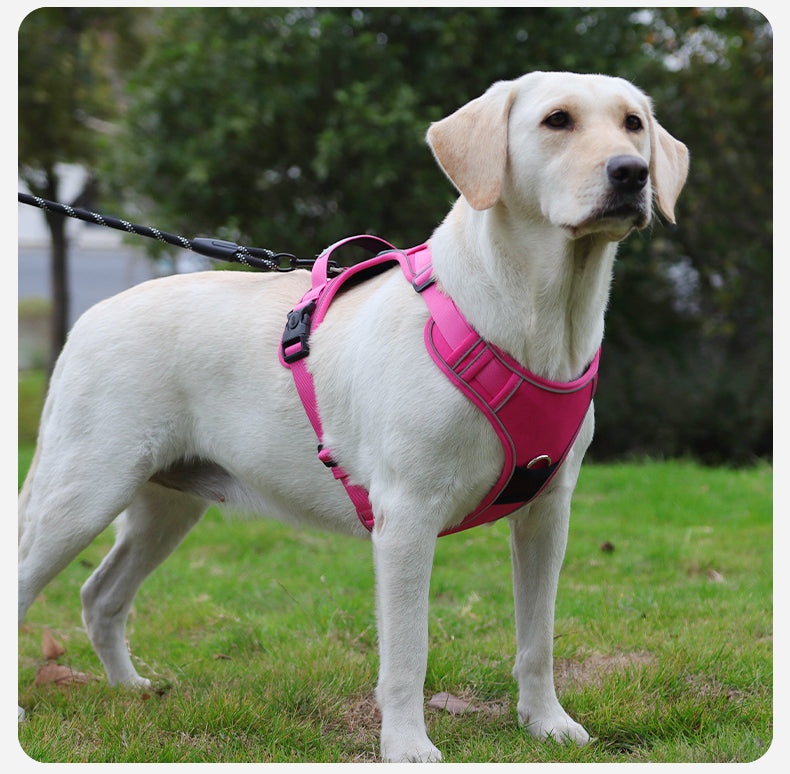 AirTag Protective Dog Harness