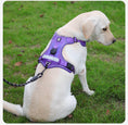 Load image into Gallery viewer, AirTag Protective Dog Harness
