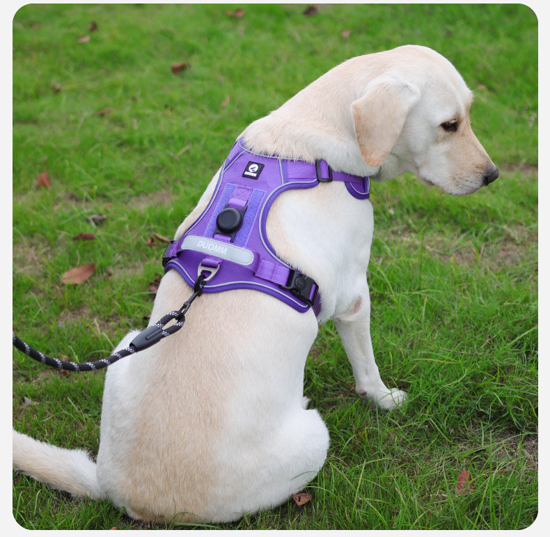 AirTag Protective Dog Harness