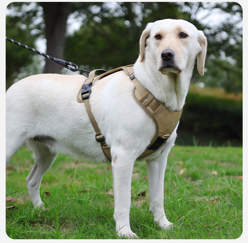 AirTag Protective Dog Harness