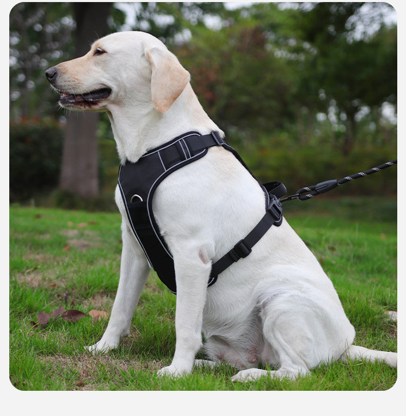 AirTag Protective Dog Harness