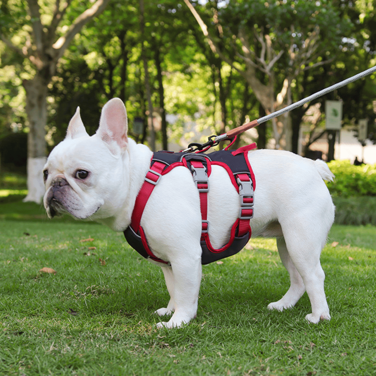 Escape-Proof Reflective Dog Harness with Handle