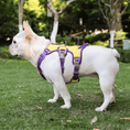 Load image into Gallery viewer, Escape-Proof Reflective Dog Harness with Handle
