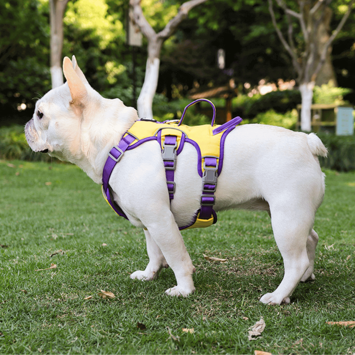 Escape-Proof Reflective Dog Harness with Handle