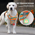 Load image into Gallery viewer, Camouflage No Pull Dog Harness with Handle
