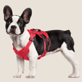 Load image into Gallery viewer, Escape-proof No Pull Dog Harness with Handle
