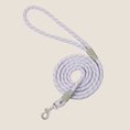 Load image into Gallery viewer, Macaron Reflective Dog Leash(Purple) | Fluffy Fusion
