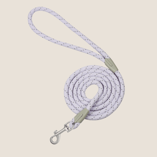 Macaron Reflective Dog Leash(Purple) | Fluffy Fusion