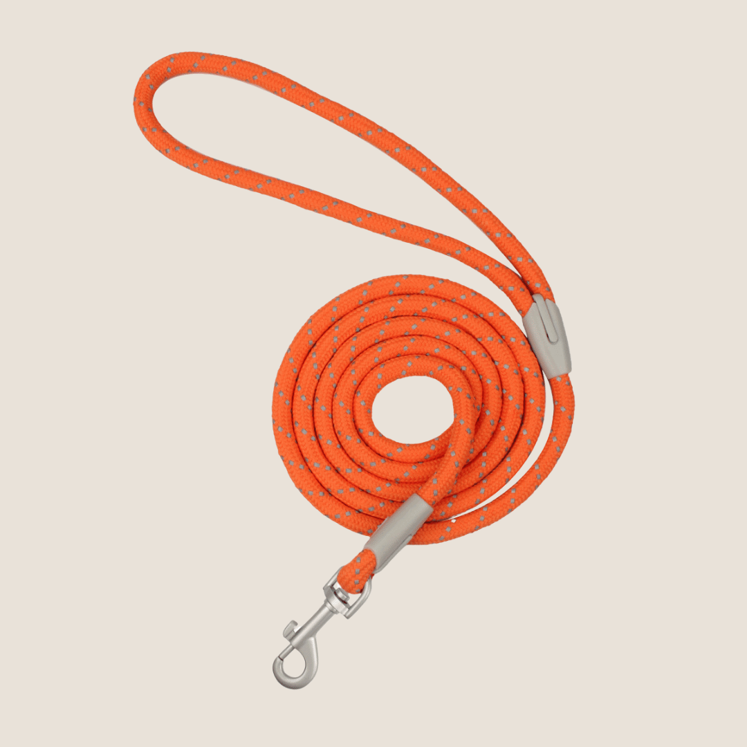 Macaron Reflective Dog Leash(Orange) | Fluffy Fusion