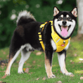 Load image into Gallery viewer, Padded Vest No Pull Dog Harness with Handle
