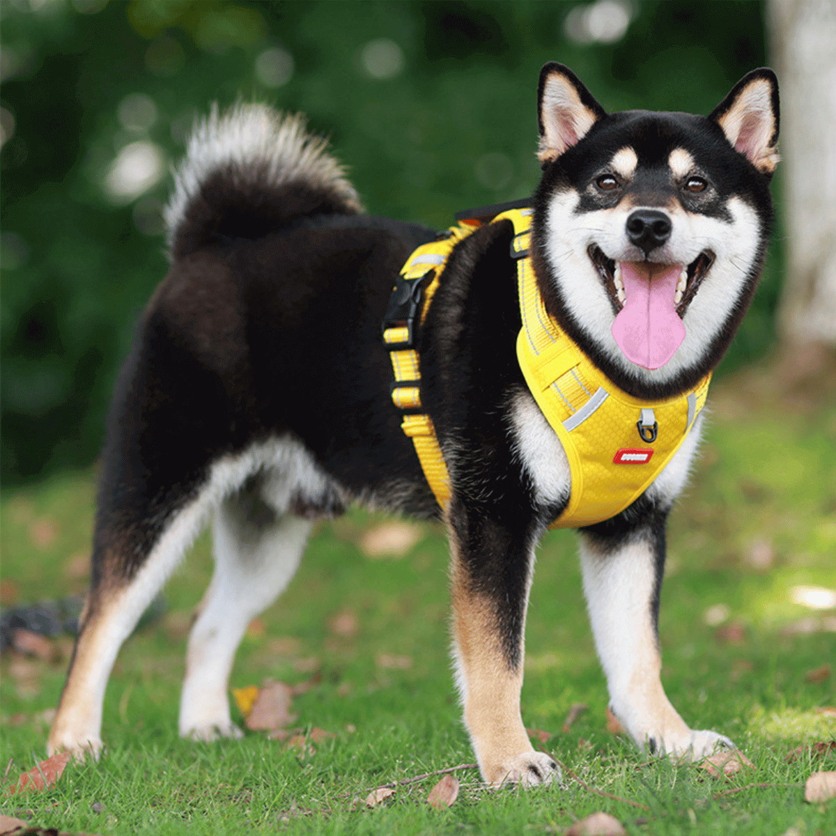 Padded Vest No Pull Dog Harness with Handle