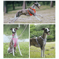 Load image into Gallery viewer, Macaron Adjustable Reflective Dog Harness
