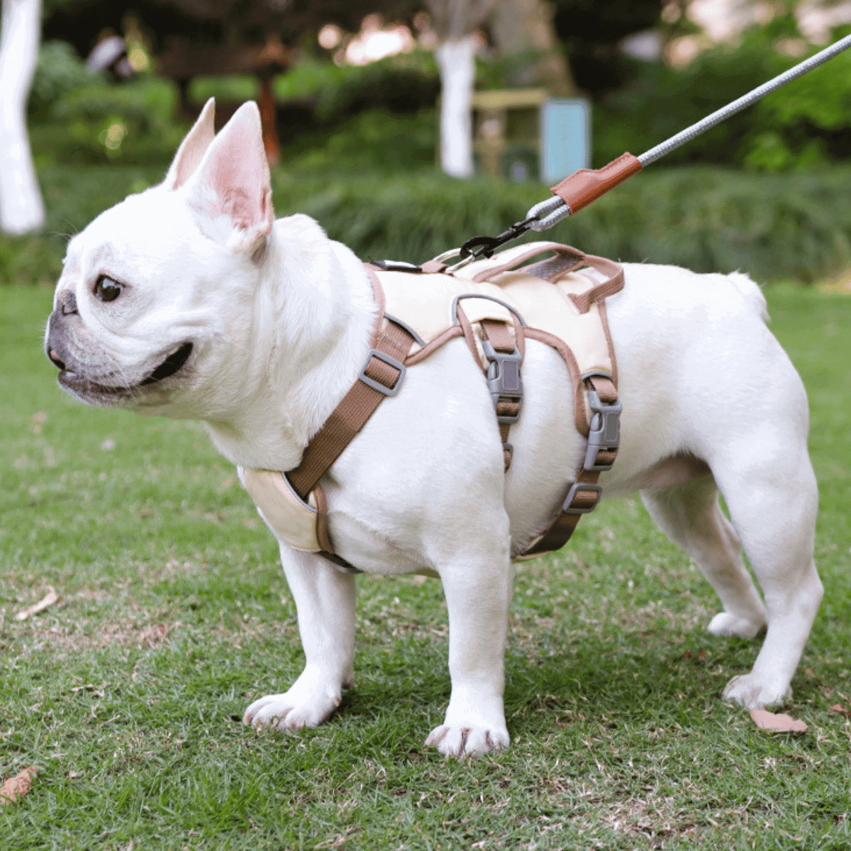 Escape-Proof Reflective Dog Harness with Handle