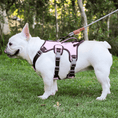 Load image into Gallery viewer, Escape-Proof Reflective Dog Harness with Handle
