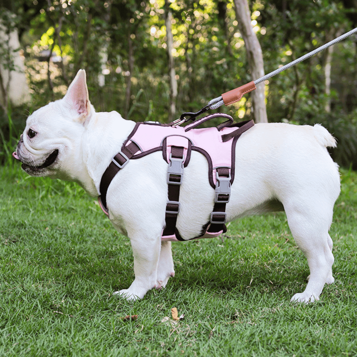 Escape-Proof Reflective Dog Harness with Handle