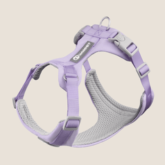 Macaron Adjustable Reflective Dog Harness(Purple)