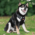 Load image into Gallery viewer, Padded Vest No Pull Dog Harness with Handle
