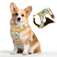 Load image into Gallery viewer, Camouflage No Pull Dog Harness with Handle
