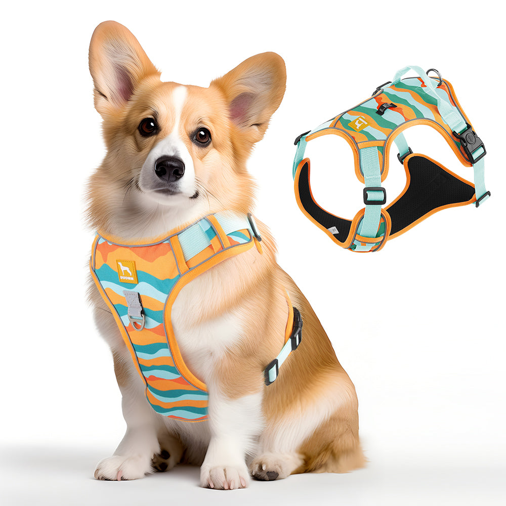 Camouflage No Pull Dog Harness with Handle